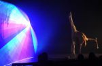 2012_11_06_04697.jpg