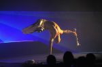 2012_11_06_04703.jpg
