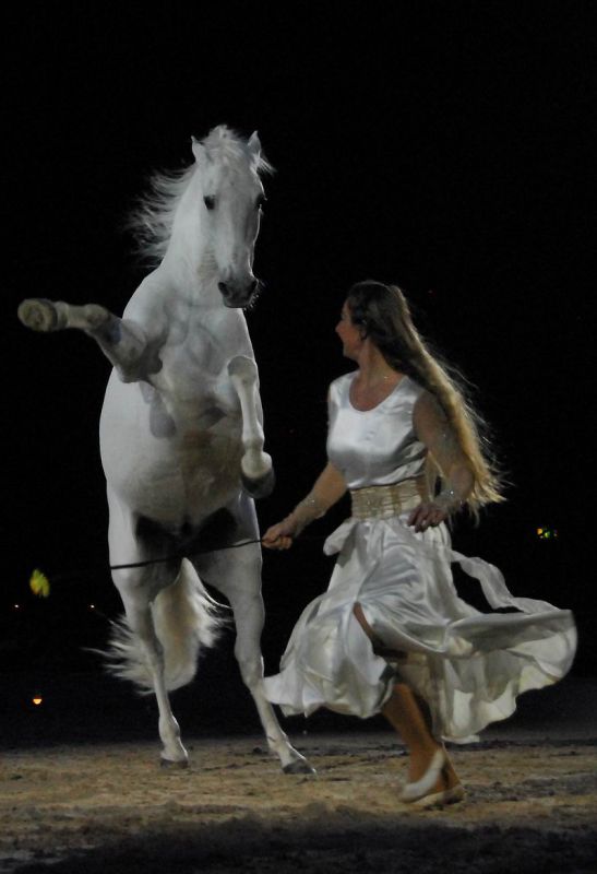 2008_01_05__00084_.jpg