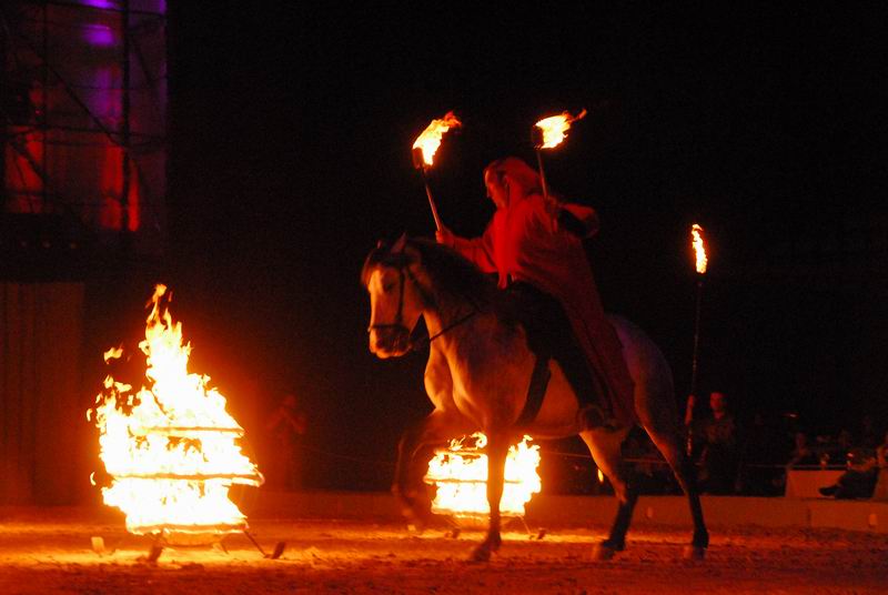 2008_01_05__00103_.jpg