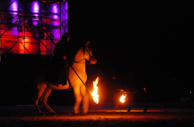 2008_01_05__00153_.jpg