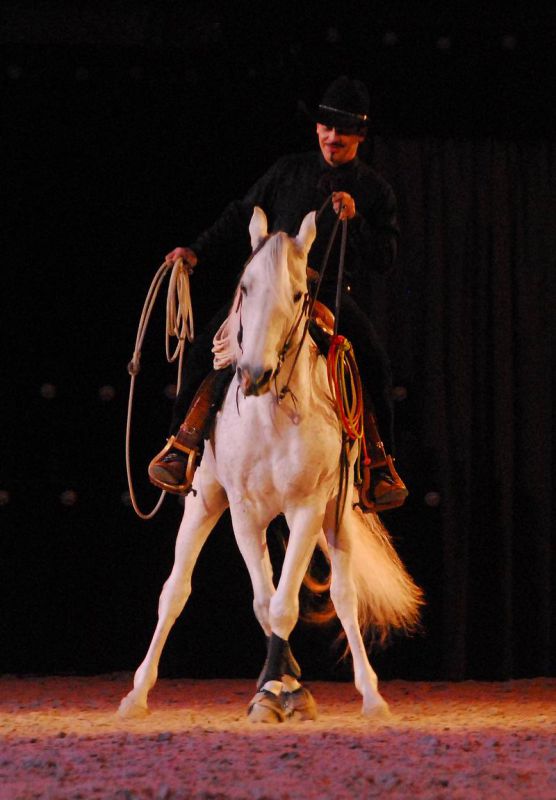 2008_01_05__00205_.jpg