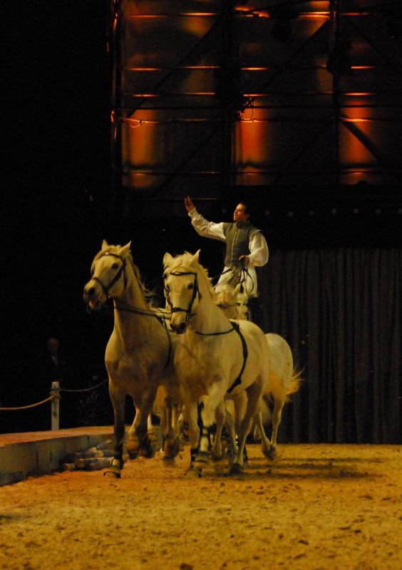 2008_01_05__00387_.jpg