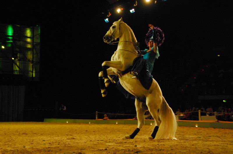 2008_01_05__00483_.jpg
