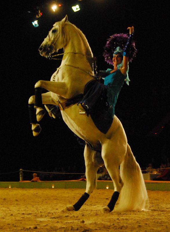 2008_01_05__00486_.jpg