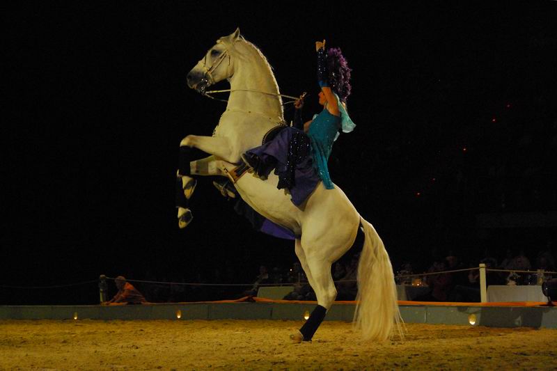 2008_01_05__00500_.jpg