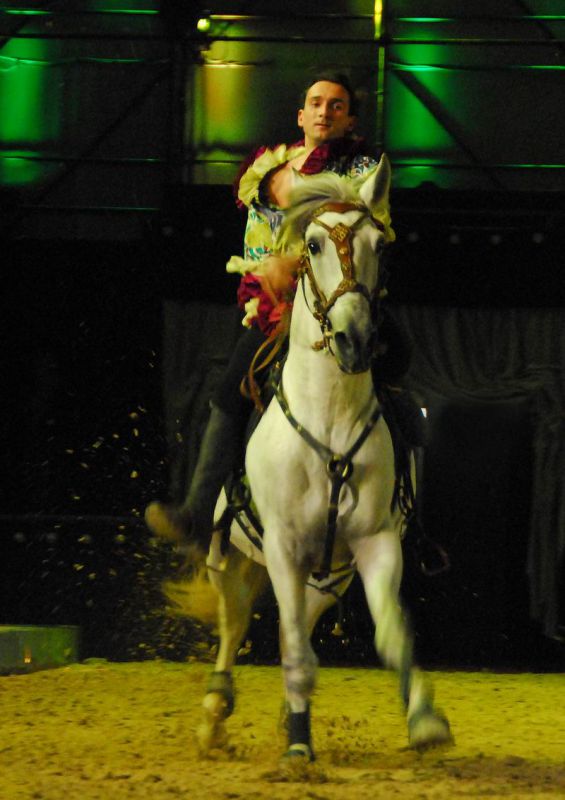2008_01_05__00503_.jpg