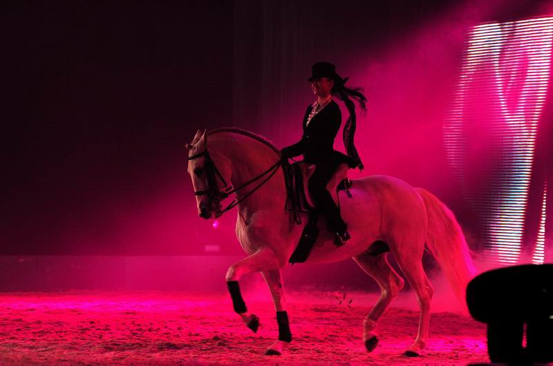 2009_01_03_024440_.jpg