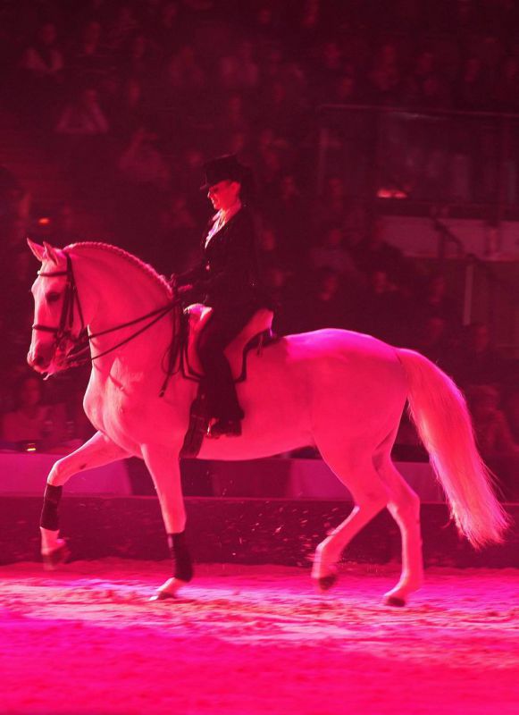 2009_01_03_024490_.jpg