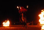 2008_01_05__00102_.jpg