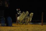 2008_01_05__00373_.jpg