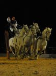 2008_01_05__00374_.jpg
