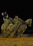 2008_01_05__00376_.jpg