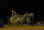 2008_01_05__00377_.jpg