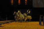 2008_01_05__00385_.jpg