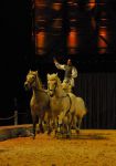 2008_01_05__00387_.jpg