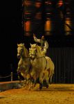 2008_01_05__00388_.jpg