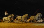2008_01_05__00394_.jpg