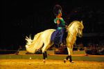 2008_01_05__00465_.jpg