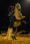 2008_01_05__00478_.jpg