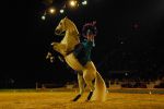 2008_01_05__00488_.jpg