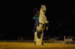 2008_01_05__00497_.jpg