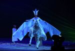 2009_01_03_00202_.jpg