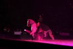 2009_01_03_00372_.jpg