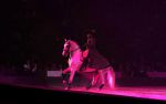 2009_01_03_00373_.jpg