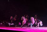 2009_01_03_00393_.jpg