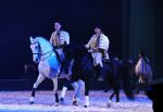 2009_01_03_01828_.jpg
