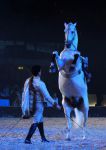 2009_01_03_02023_.jpg