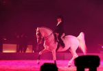 2009_01_03_02447_.jpg