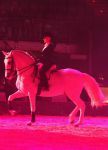 2009_01_03_024480.jpg