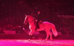 2009_01_03_02450_.jpg