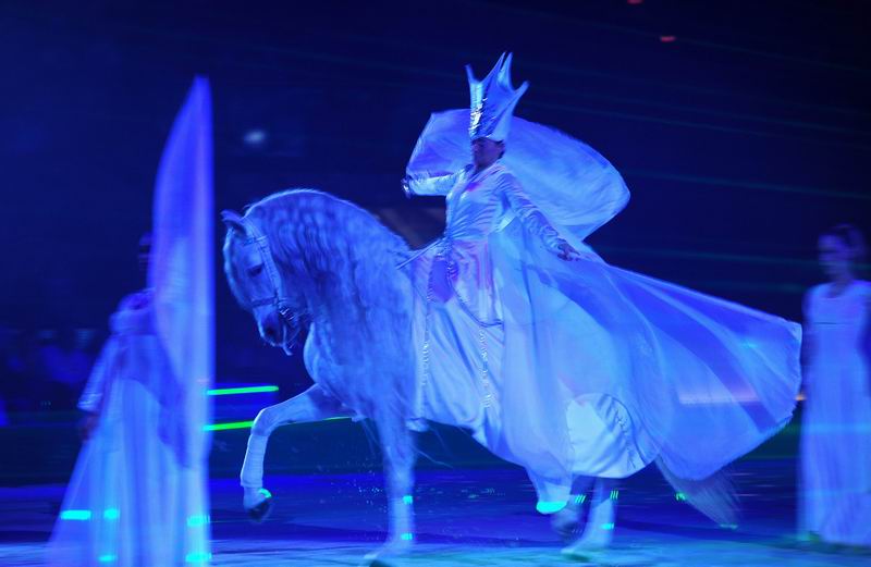 2009_01_03_00082_~0.jpg