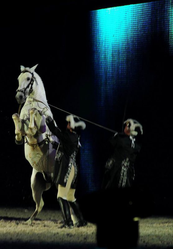 2009_01_03_01401_~0.jpg