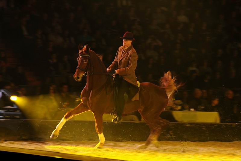 2009_01_03_01686_~0.jpg