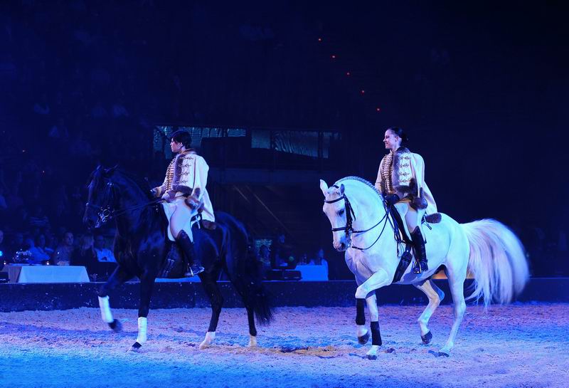 2009_01_03_01810_~0.jpg