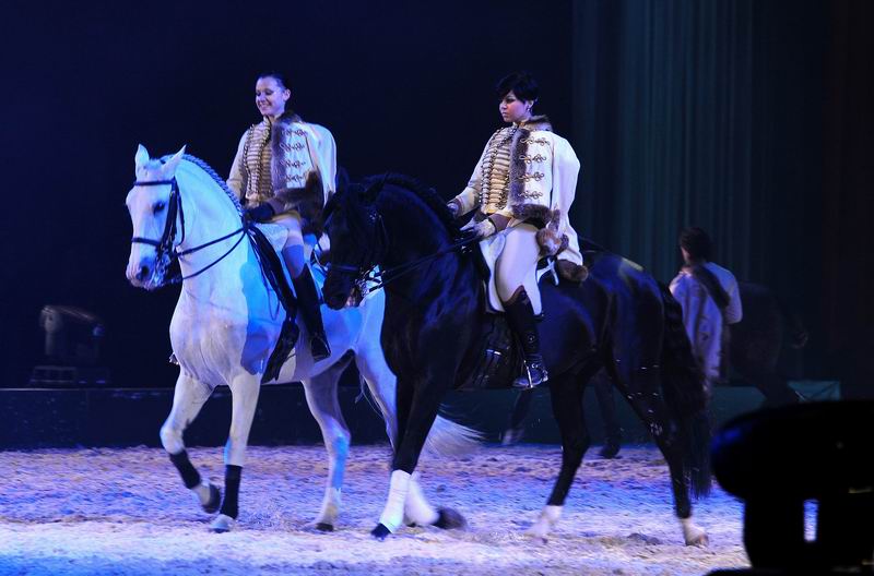 2009_01_03_01827_~0.jpg