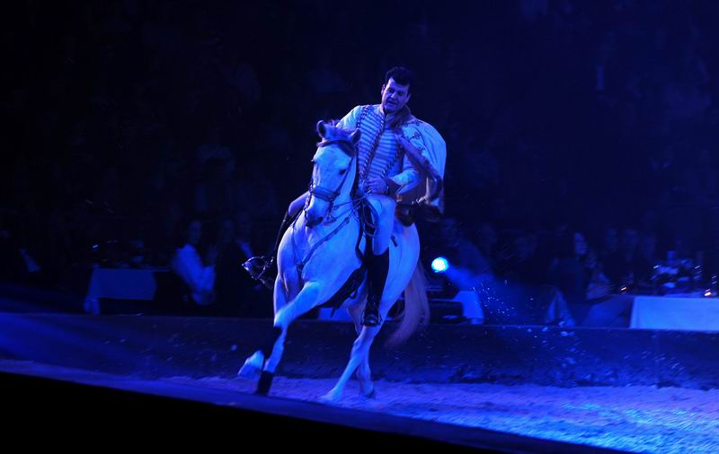 2009_01_03_01845_~0.jpg