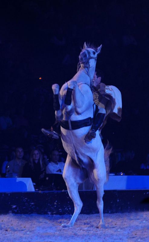 2009_01_03_01857_~0.jpg
