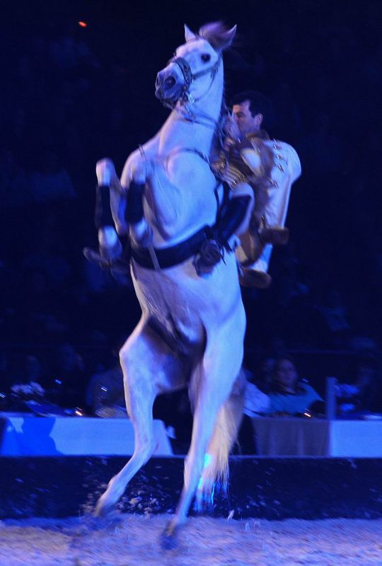 2009_01_03_018590_~0.jpg
