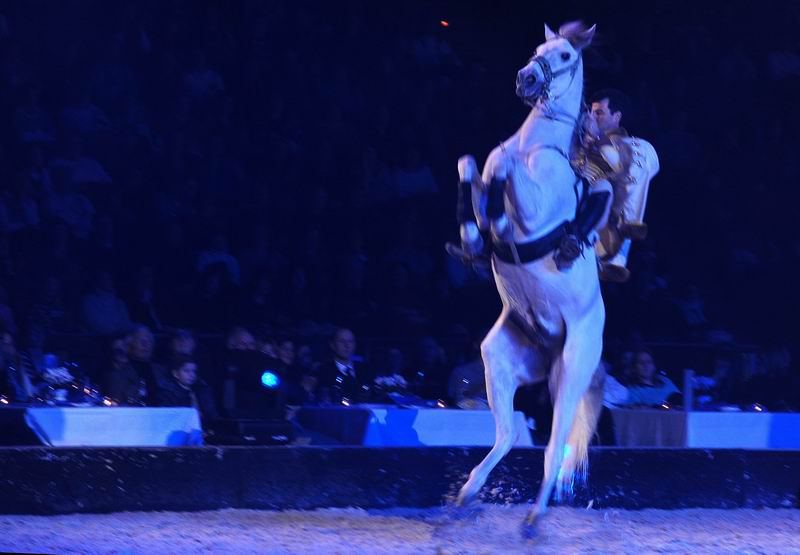 2009_01_03_01859_~0.jpg