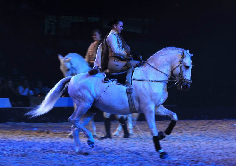 2009_01_03_01996_~0.jpg