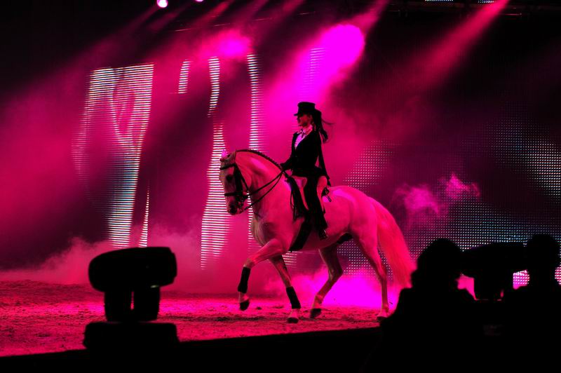 2009_01_03_02439_~0.jpg