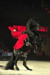 2009_01_03_00973_~0.jpg