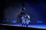2009_01_03_01877_~0.jpg