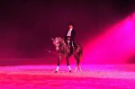 2009_01_03_02458_~0.jpg