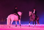 2009_01_03_02460_~0.jpg
